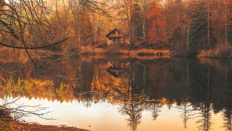 Yosemite Cabin